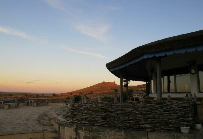 Отель Safari Danube Delta