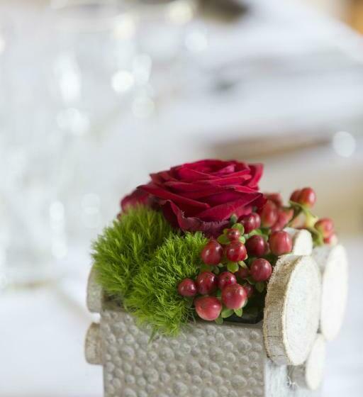 בית מלון כפרי Saint Martin