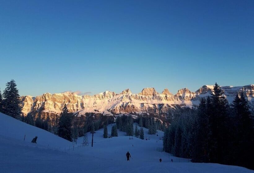 ホテル Schiffahrt