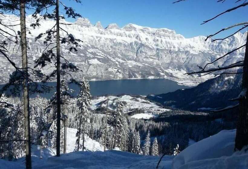 ホテル Schiffahrt