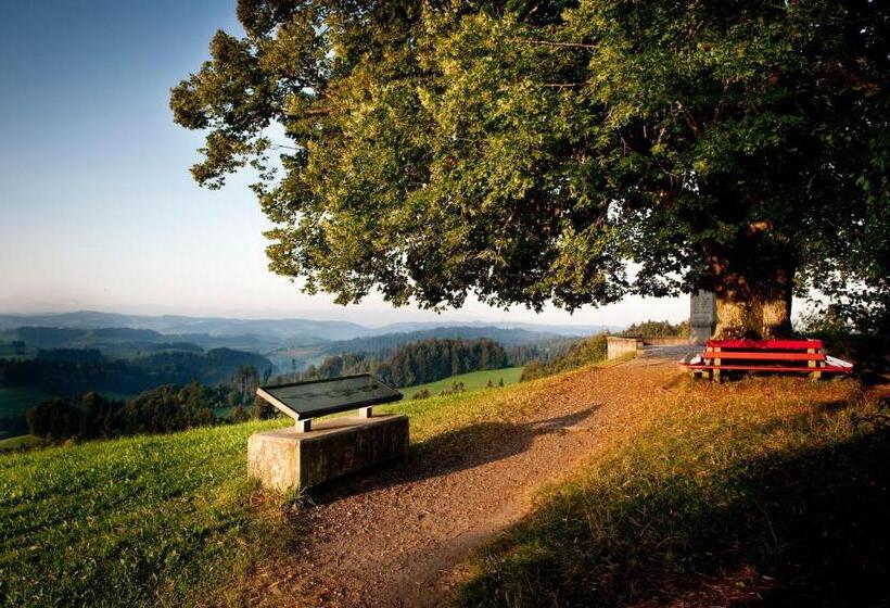 Landgasthof Und Seminarhotel Lueg