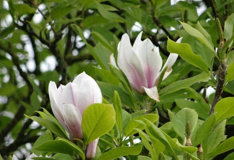 Мотель Hostellerie Daiseldaele