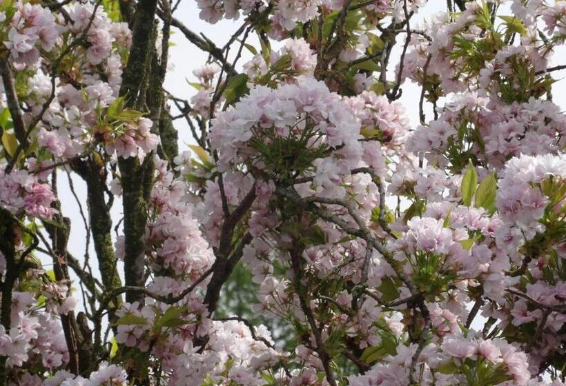 Мотель Hostellerie Daiseldaele