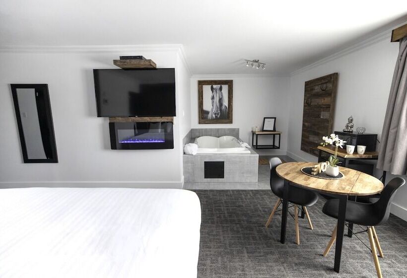 Мотель Hôtel Napoléon