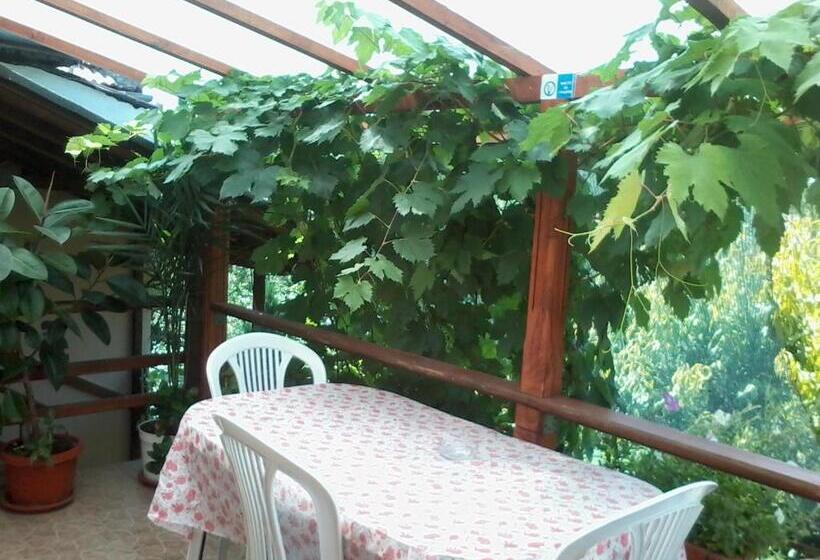 Pensjonat къща под наем Petrova