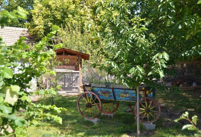 膳宿费 къща под наем Petrova