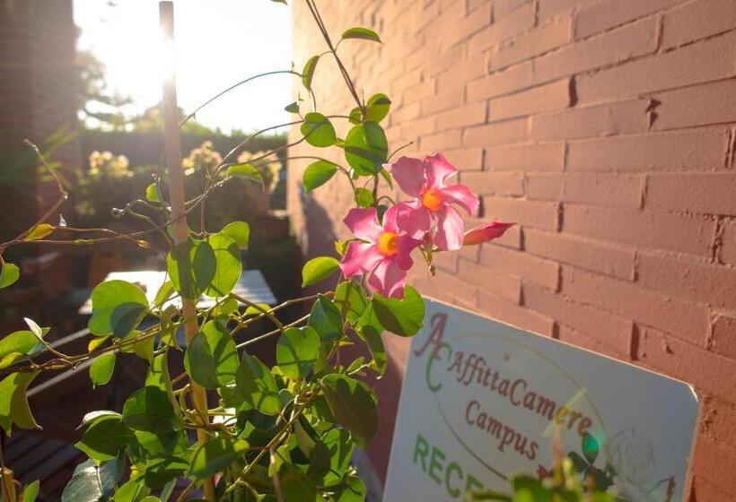 ペンション Affittacamere Campus Trigoria