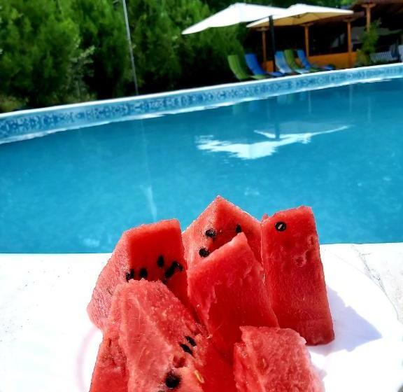 بنسيون Aleksandrina