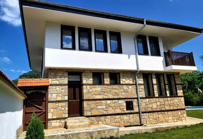 بنسيون Aleksandrina