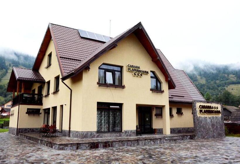 Пансион Cabana Plapumioara