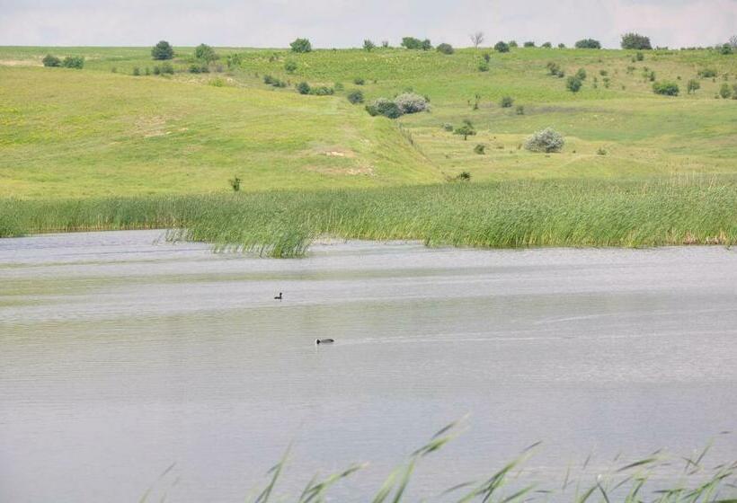 펜션 Complex Domneasca