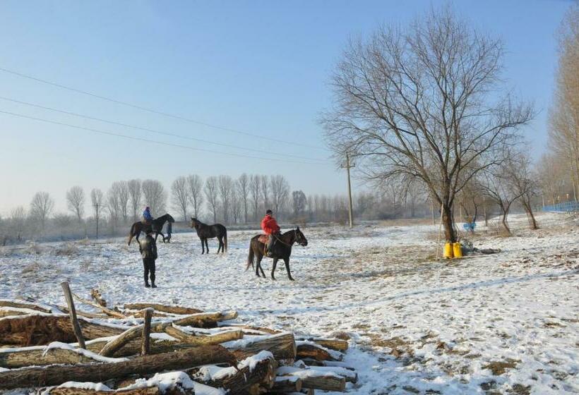 펜션 Complex Domneasca