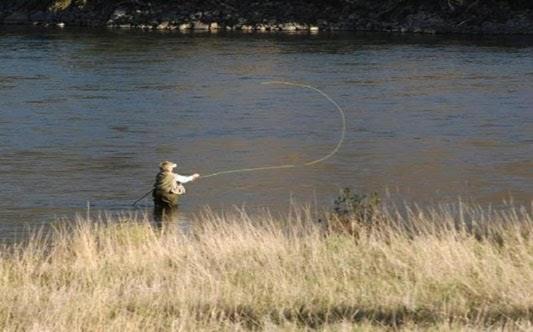 펜션 Complex Domneasca