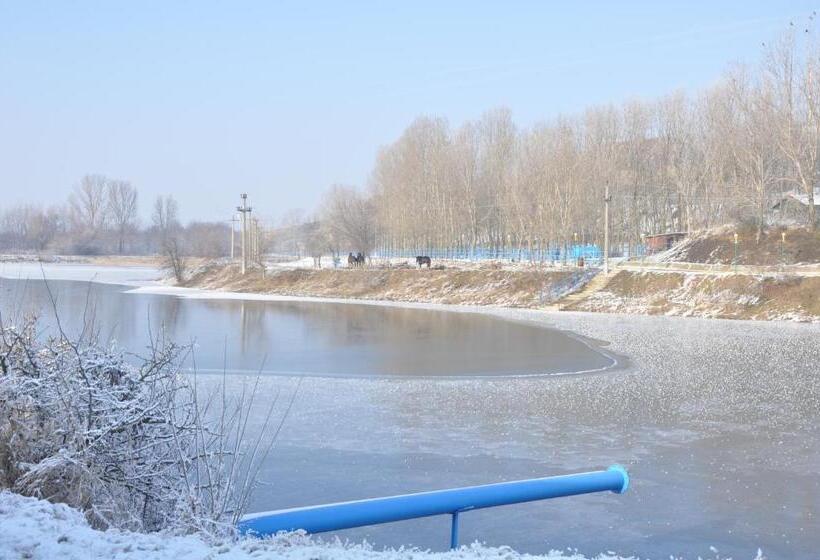 펜션 Complex Domneasca