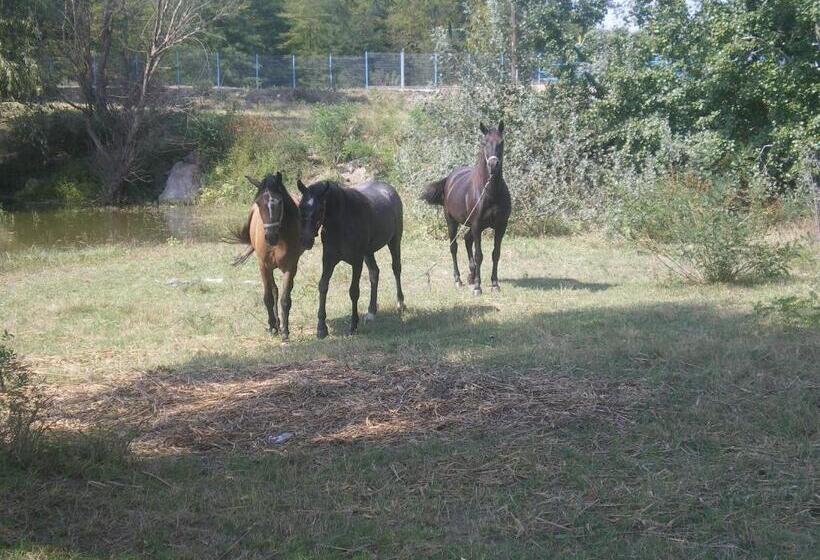 펜션 Complex Domneasca