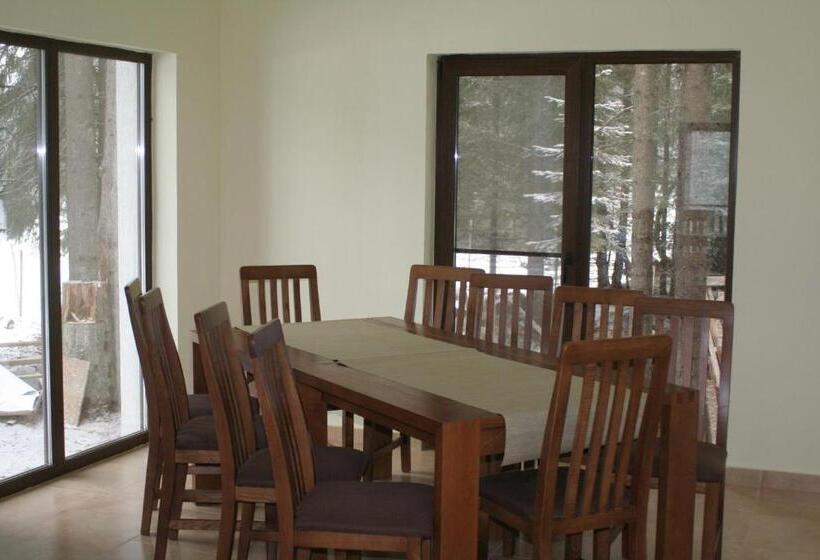 פנסיון Complex Transalpina Lac