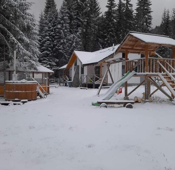 פנסיון Complex Transalpina Lac