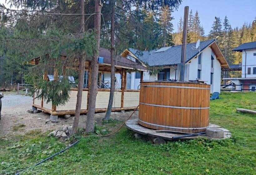 פנסיון Complex Transalpina Lac