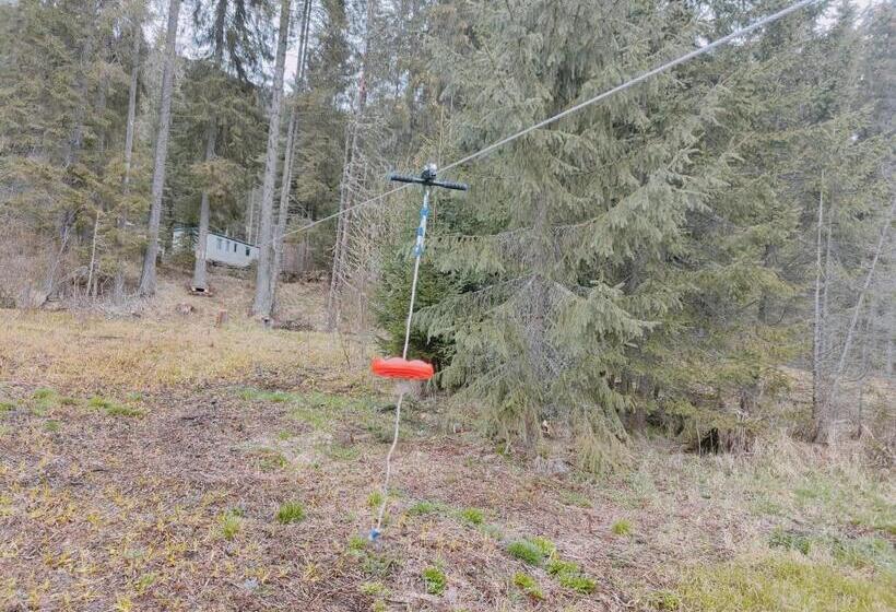 פנסיון Complex Transalpina Lac