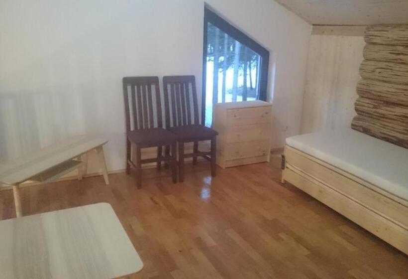 פנסיון Complex Transalpina Lac