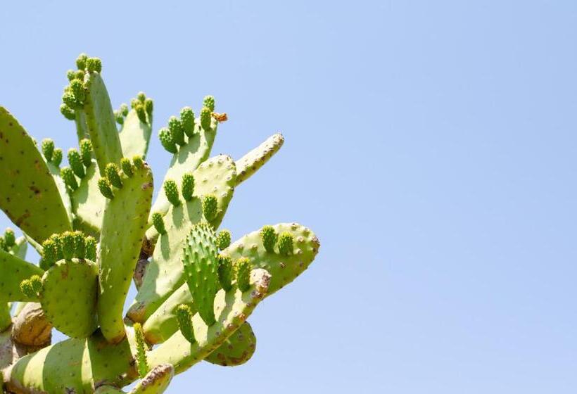 ペンション Desert Dew Guest House