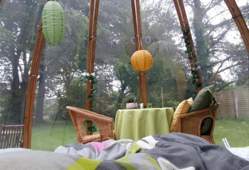 ペンション Domaine De La Carrauterie By Terre Insolite