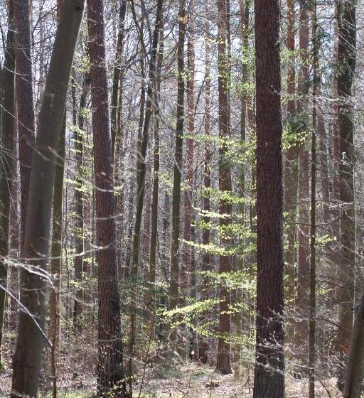 ペンション Gasthaus Hofmann