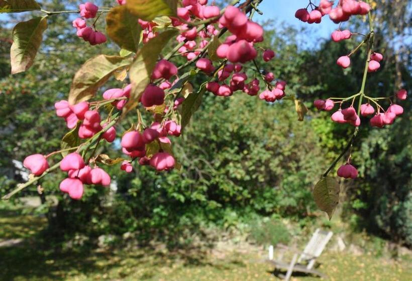 Пансион Gasthaus Hofmann