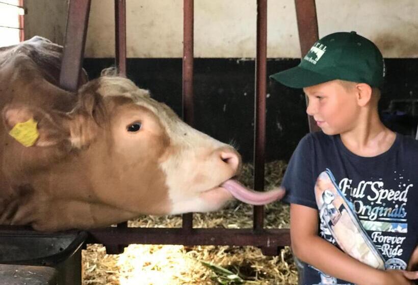 膳宿费 Land Gut Berlinchen