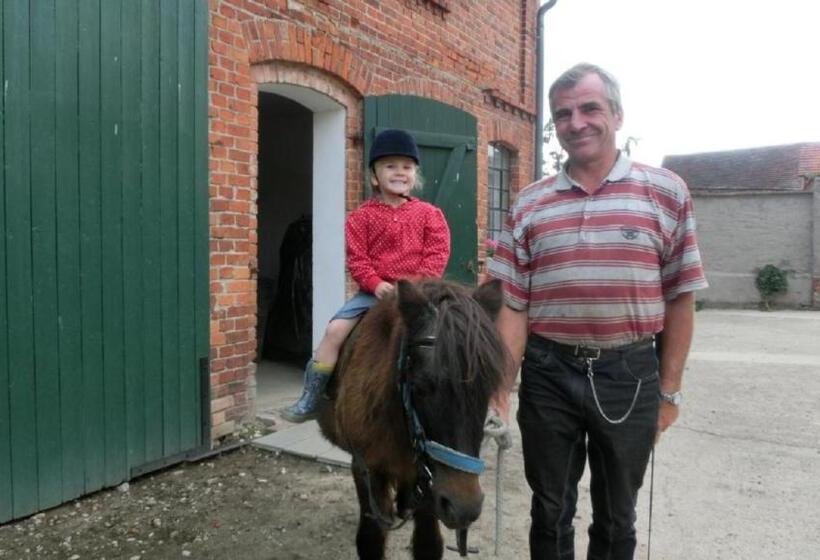 膳宿费 Land Gut Berlinchen