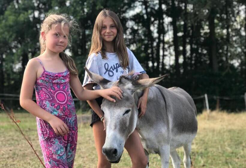 膳宿费 Land Gut Berlinchen