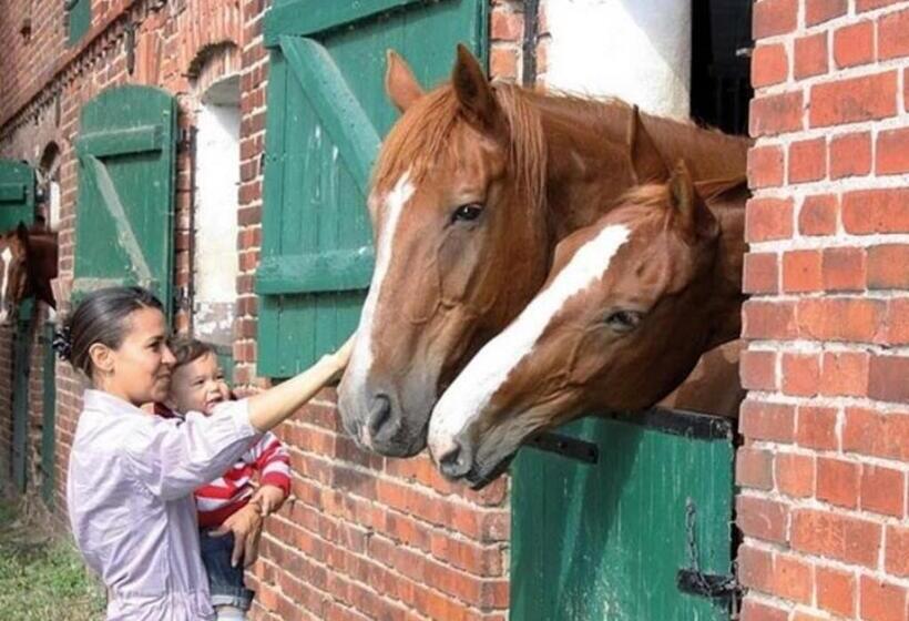 膳宿费 Land Gut Berlinchen