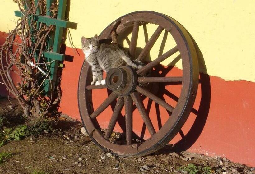 膳宿费 Land Gut Berlinchen