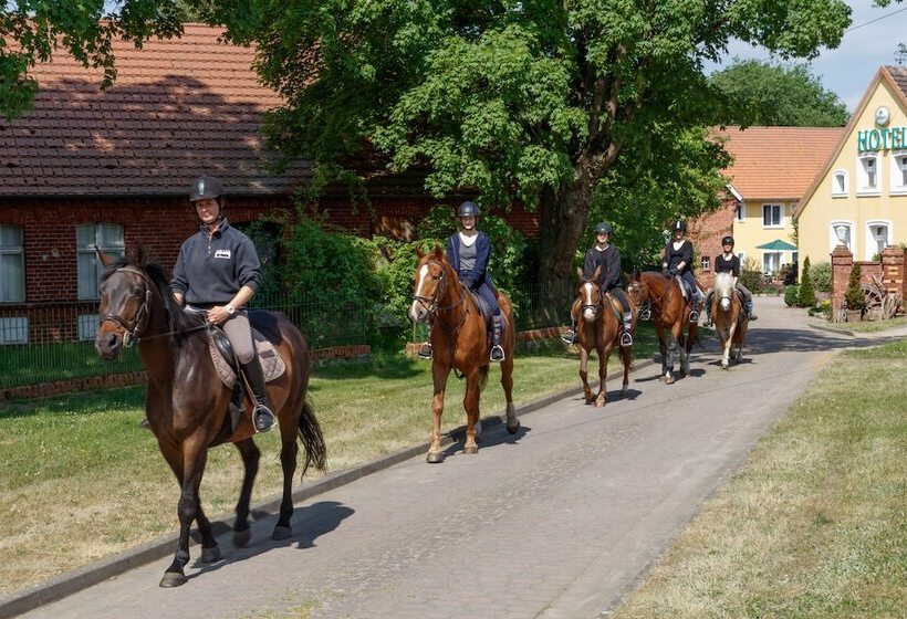 膳宿费 Land Gut Berlinchen