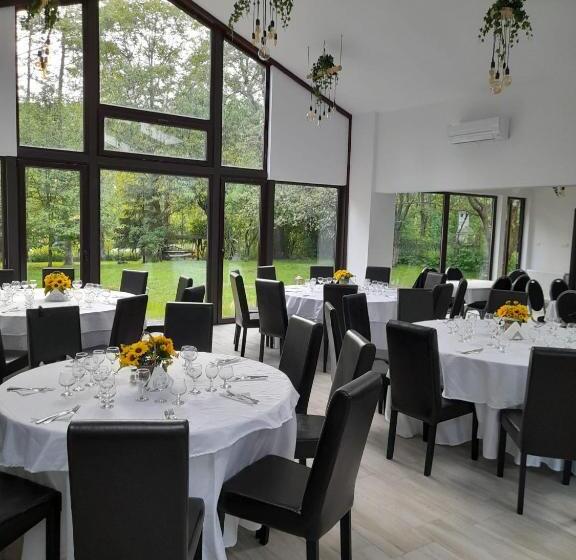 펜션 Moara Viselor