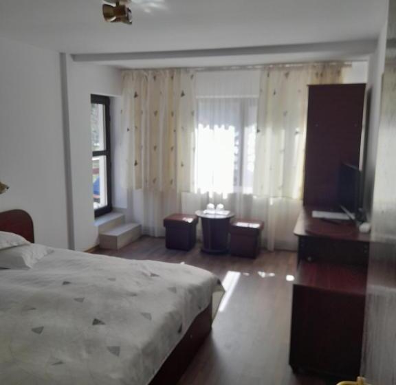 펜션 Moara Viselor