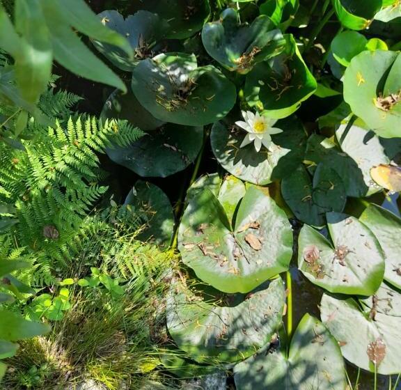 펜션 Moara Viselor