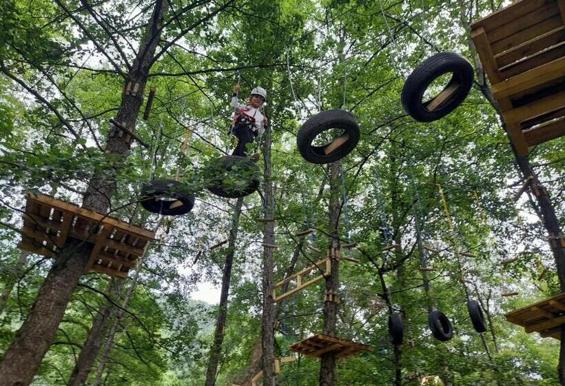 펜션 Moara Viselor