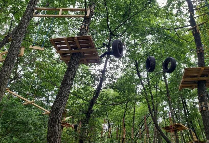 펜션 Moara Viselor