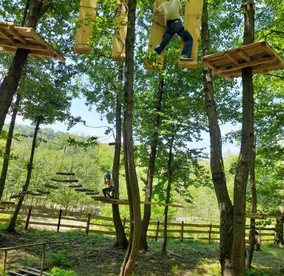 펜션 Moara Viselor