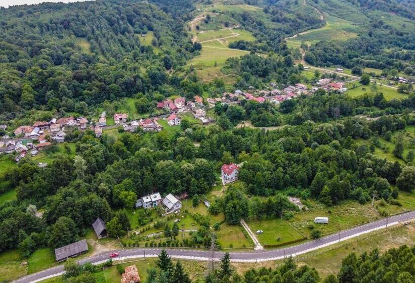 펜션 Moara Viselor