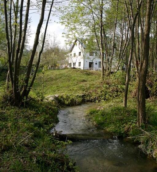 펜션 Moara Viselor