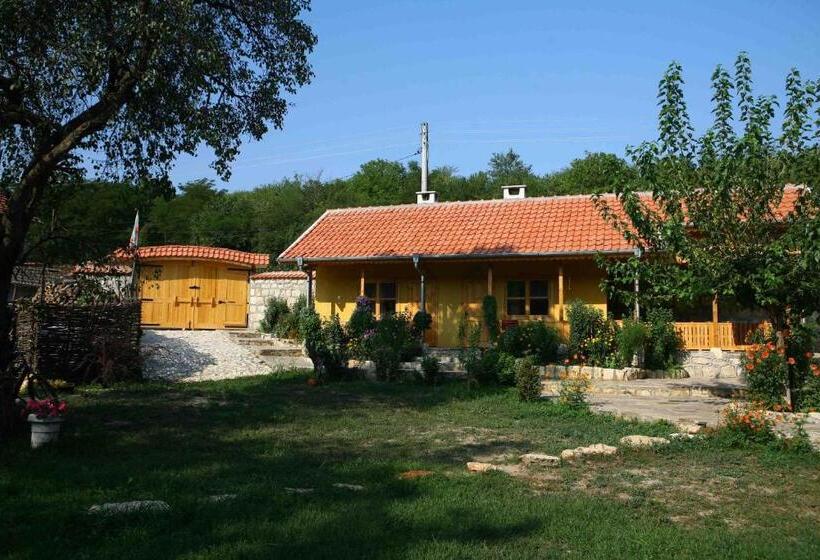 פנסיון Pelican Birding Guest House