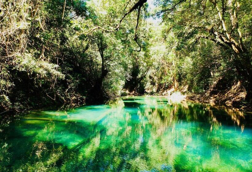 פנסיון Springriver Resort