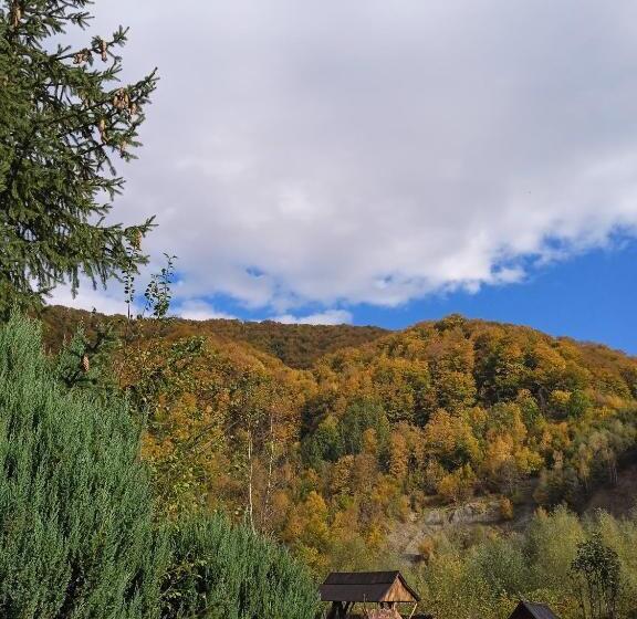 Pensionat Stara Khata карпати