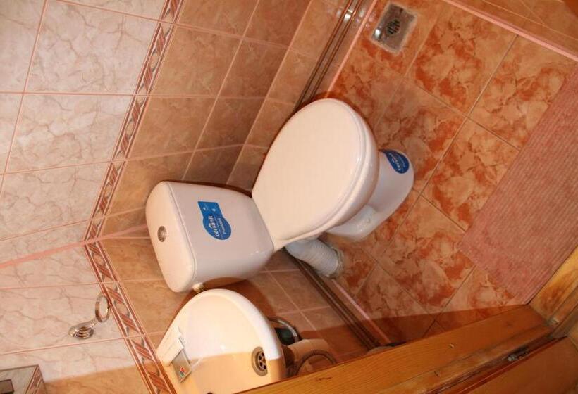 Пансион Sykytura