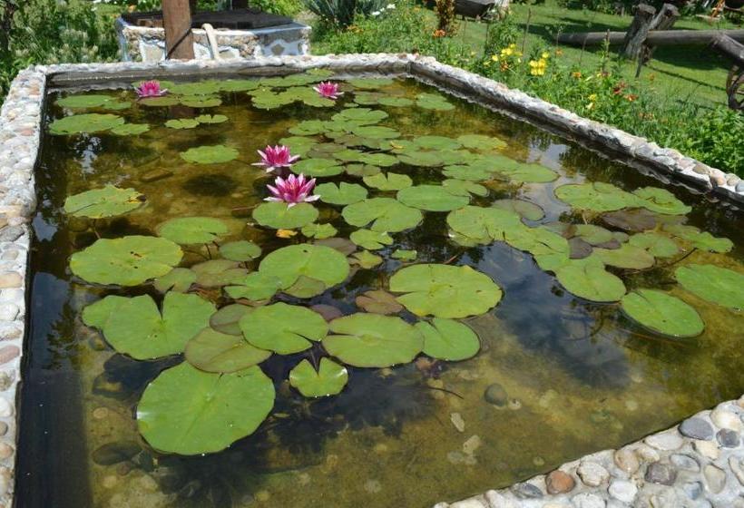 بنسيون The Old House Guest House