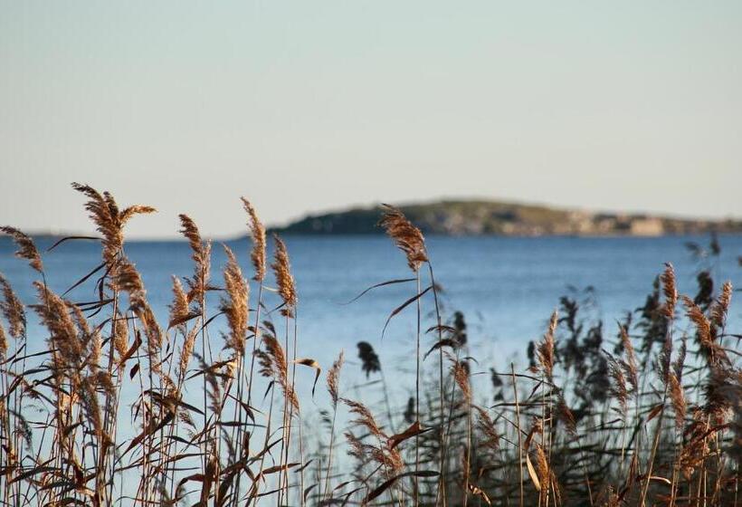 膳宿费 Valleviken Hotell