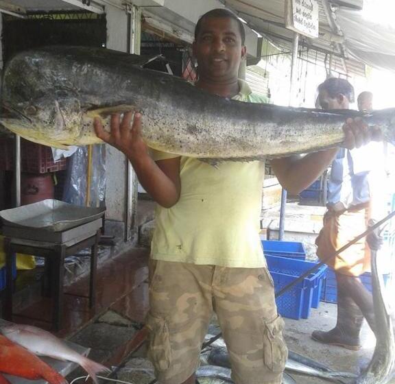 ペンション Villa Butterfly