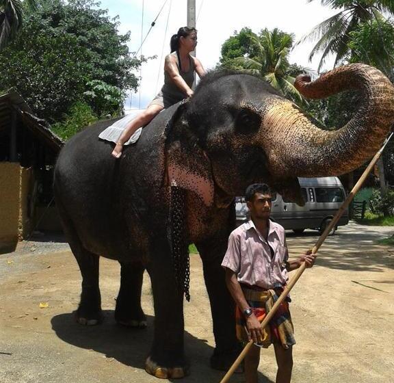 ペンション Villa Butterfly